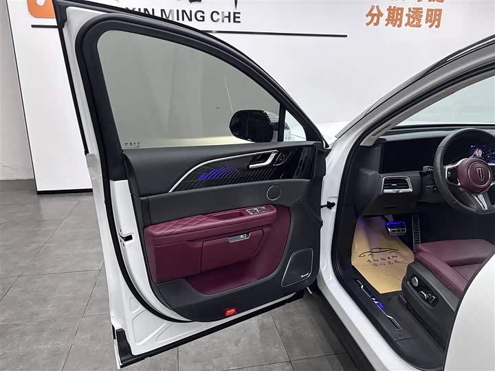 Hongqi E-HS9, 2023 — фото 6 из 9