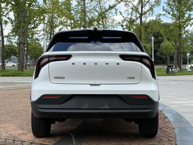 Geely Geometry E Firefly, 2024 — фото 6 из 12