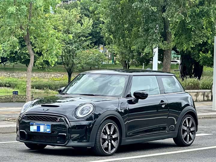 Mini Mini, 2023 — купить в Чебоксарах под ключ
