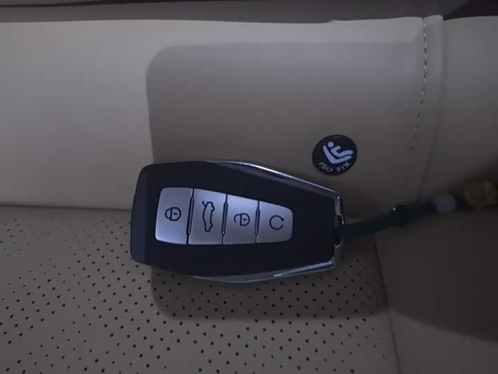 Geely Emgrand L Hi·P Hybrid, 2025 — фото 9 из 9