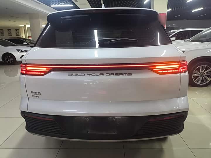 BYD Song Pro Hybrid, 2024 — фото 6 из 9