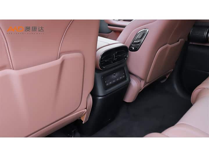 BYD Yangwang U8, 2023 — фото 9 из 9