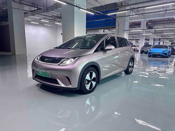 BYD Dolphin, 2023 — купить в Самаре под ключ
