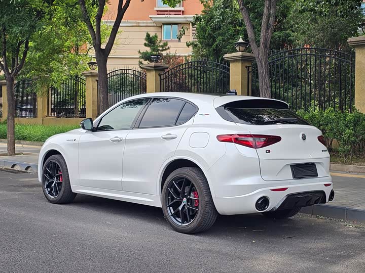 Alfa Romeo Stelvio, 2022 — фото 4 из 9