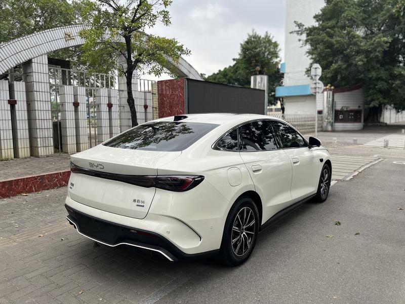 BYD Seal 06 Hybrid/EV, 2025 — фото 6 из 9