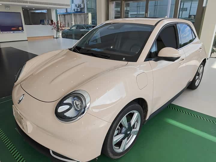 Ora Good Cat GT (03 GT), 2023 — купить в Санкт-Петербурге под ключ