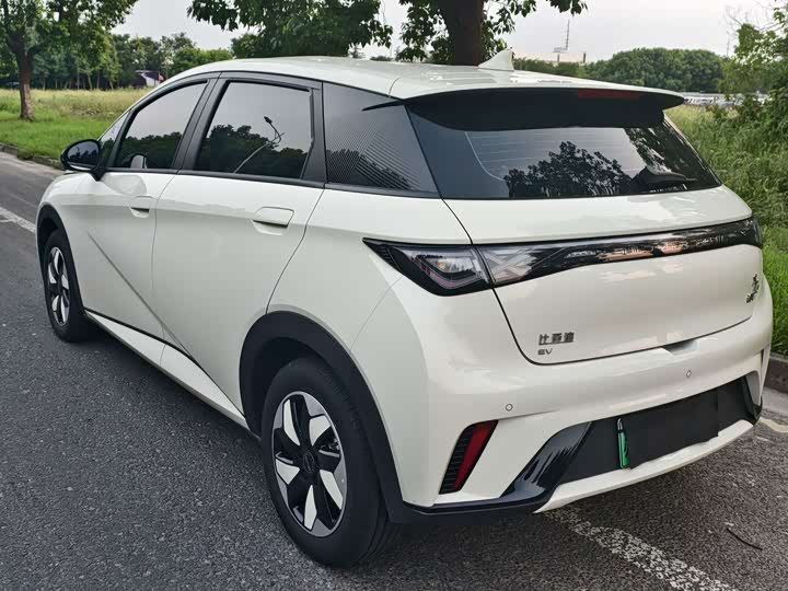 BYD Dolphin, 2025 — фото 5 из 9