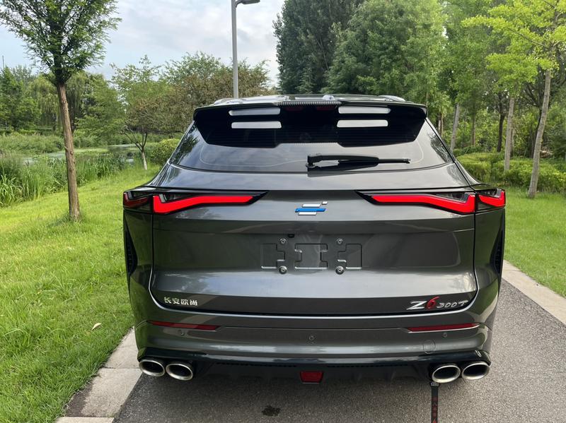 Changan Oshan Z6, 2023 — фото 6 из 12