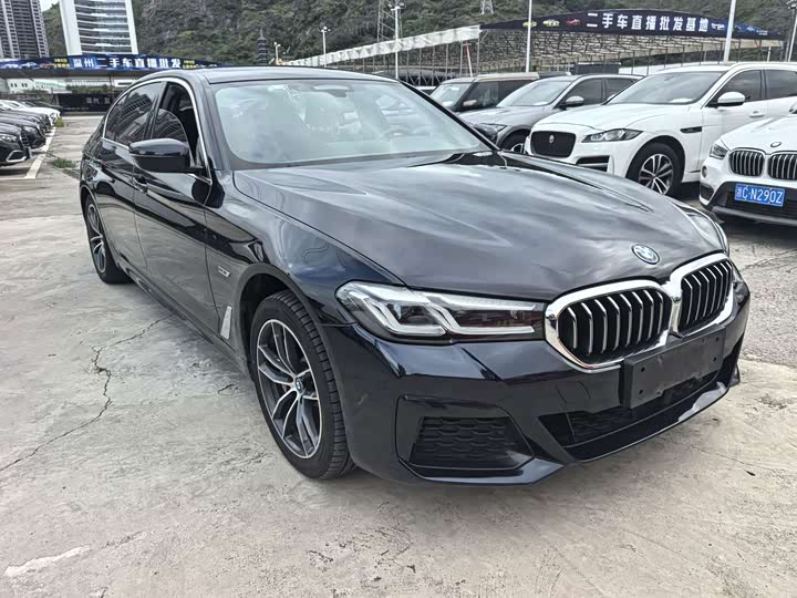 BMW 5 Series Hybrid, 2022 — фото 3 из 9