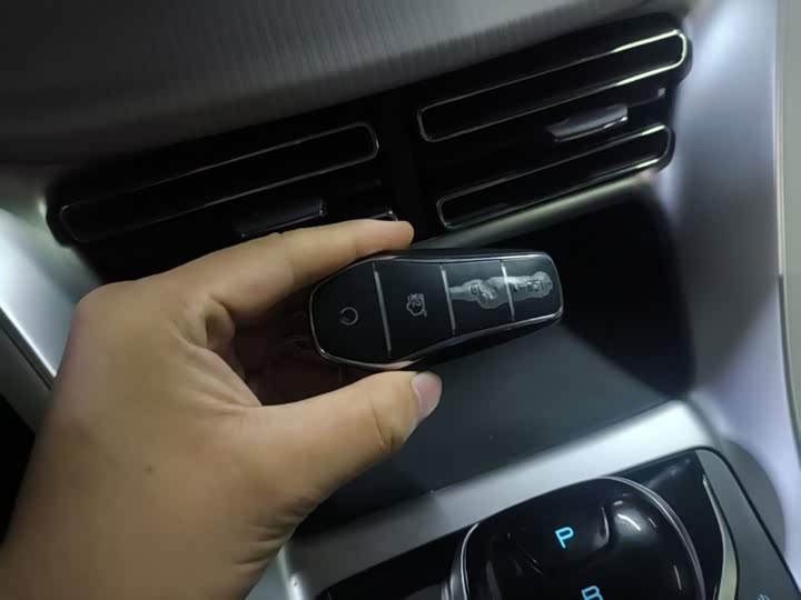 BYD Song Pro Hybrid, 2024 — фото 9 из 9