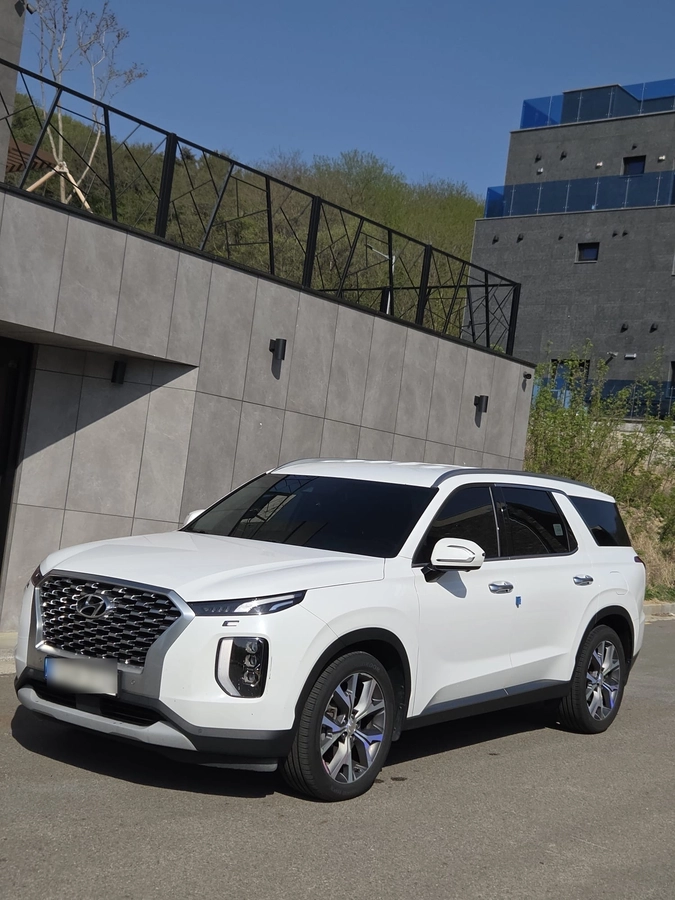 Hyundai Palisade, 2021