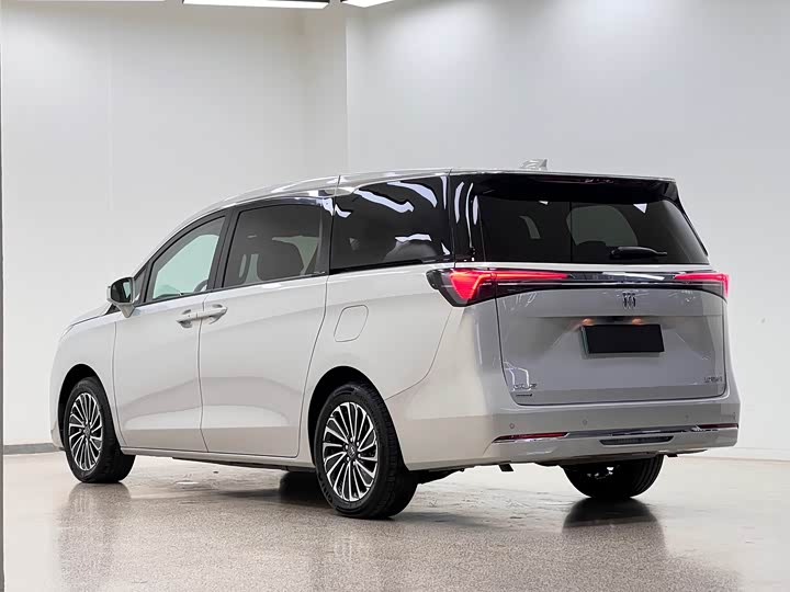 Buick GL8 Hybrid, 2025 — фото 5 из 9