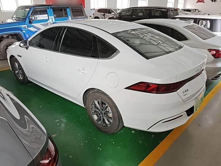 BYD Qin Plus, 2024 — фото 5 из 9
