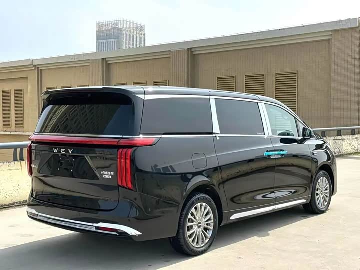 Wey 80 Hybrid, 2025 — фото 3 из 9