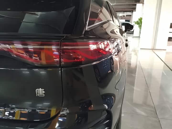 BYD Tang Hybrid/EV, 2024 — фото 8 из 9