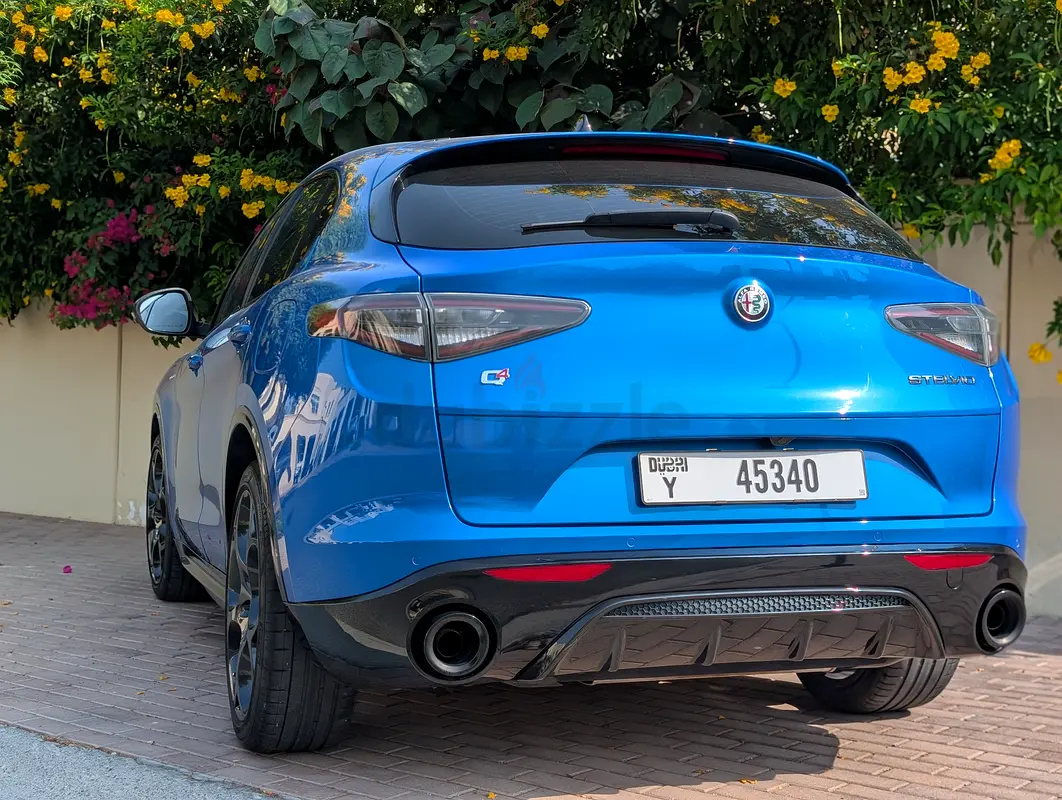 Alfa Romeo Stelvio, 2024 — фото 6 из 10