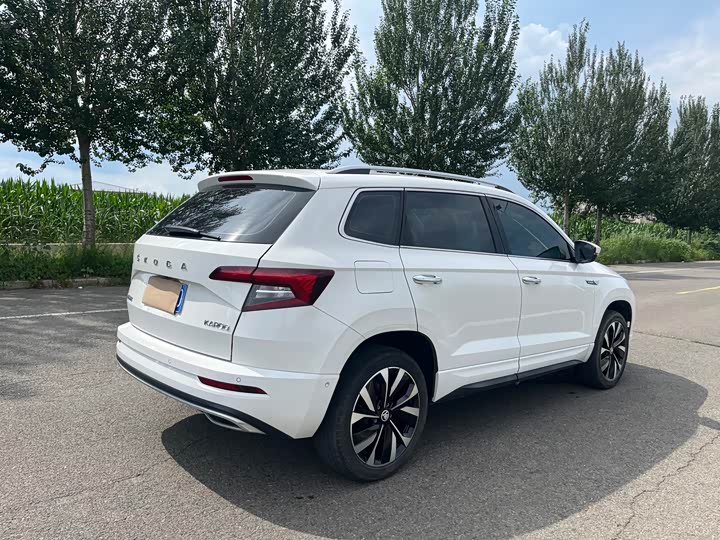 Skoda Karoq, 2022 — фото 6 из 9