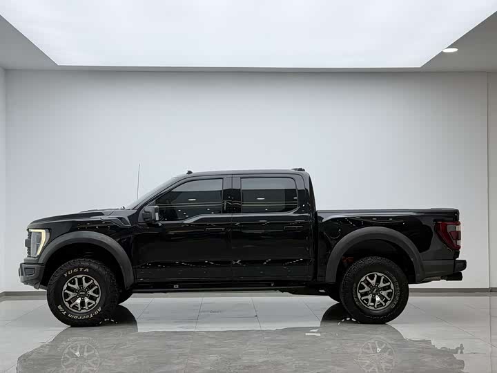 Ford F-150 Raptor, 2023 — фото 3 из 9