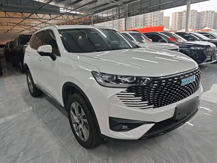 Haval H6 Hybrid, 2023 — фото 4 из 9