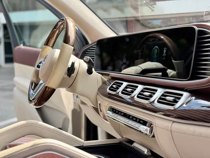 Mercedes-Benz Maybach GLS, 2022 — фото 9 из 9