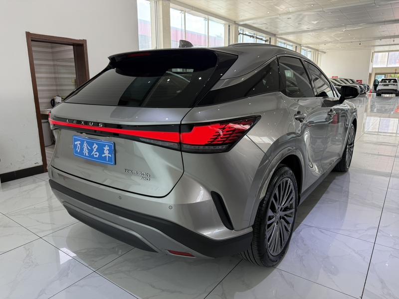 Lexus RX, 2024 — фото 6 из 11