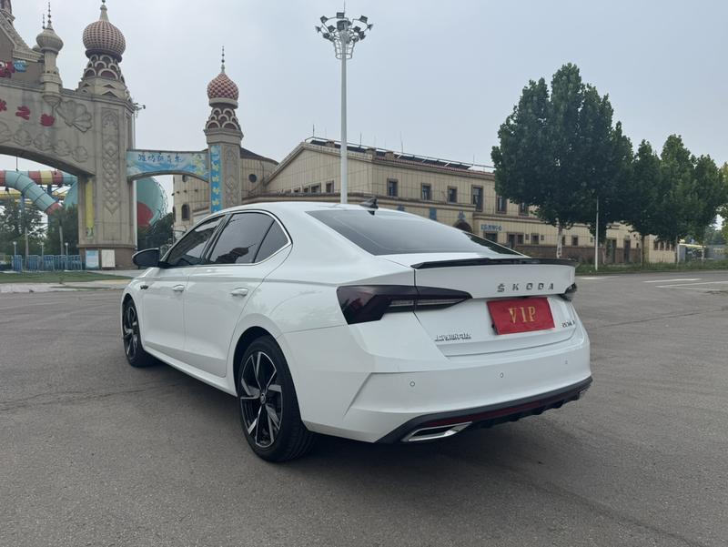 Skoda Octavia Pro, 2023 — фото 5 из 12