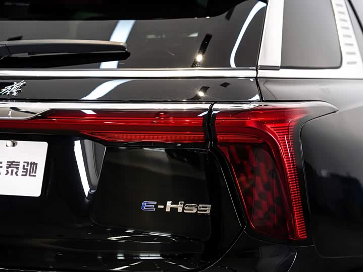 Hongqi E-HS9, 2023 — фото 9 из 9