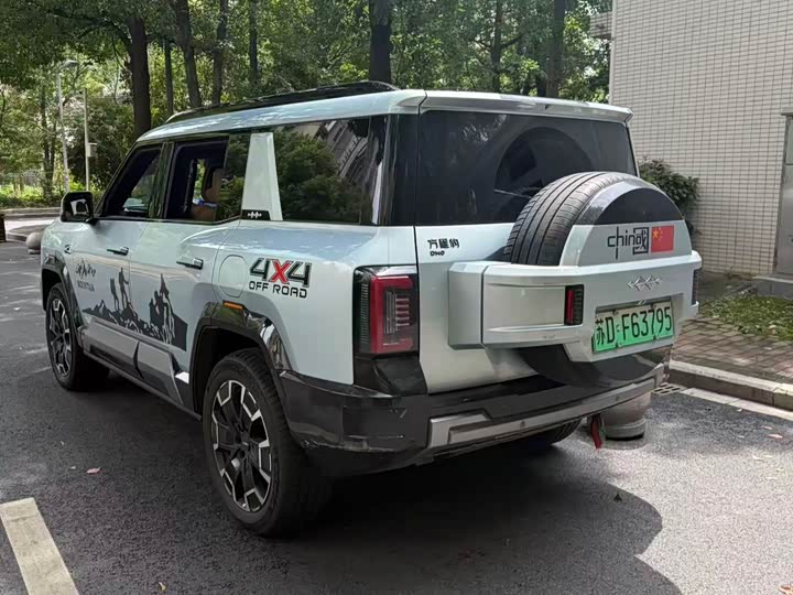 BYD FangChengBao Leopard 8, 2024 — фото 6 из 9