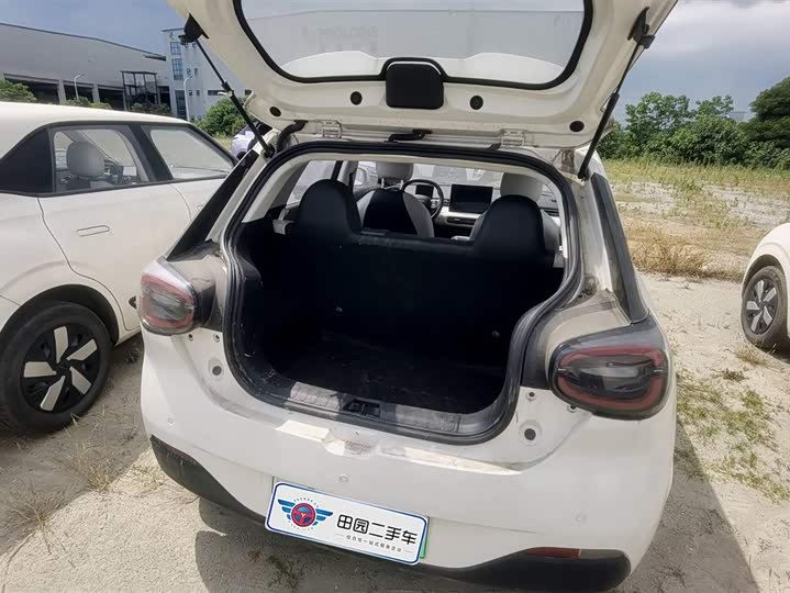 Dongfeng Yipai Nano 01, 2024 — фото 4 из 7