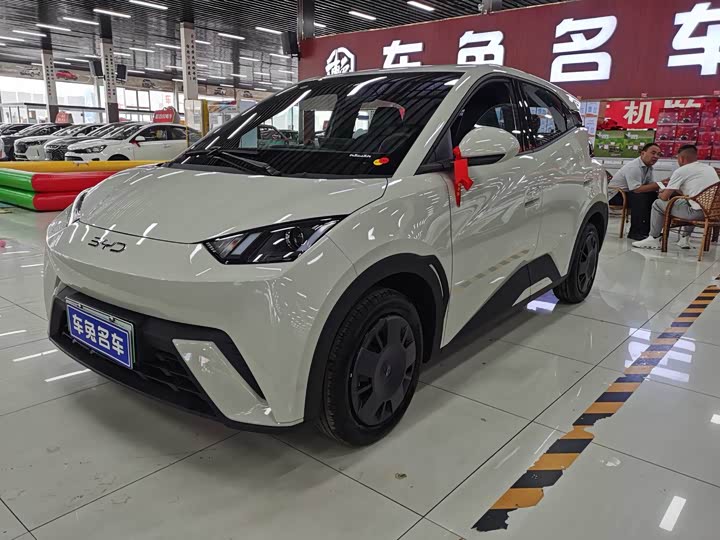 BYD Seagull, 2026 — купить в Пензе под ключ