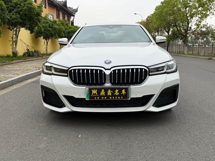 BMW 5 Series Hybrid, 2022 — фото 2 из 9