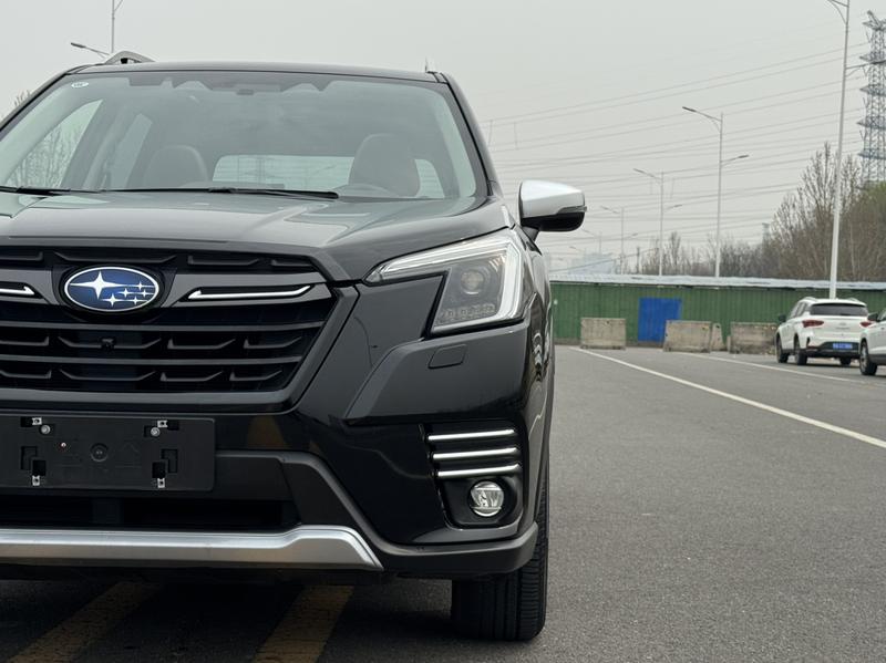 Subaru Forester, 2023 — фото 9 из 12