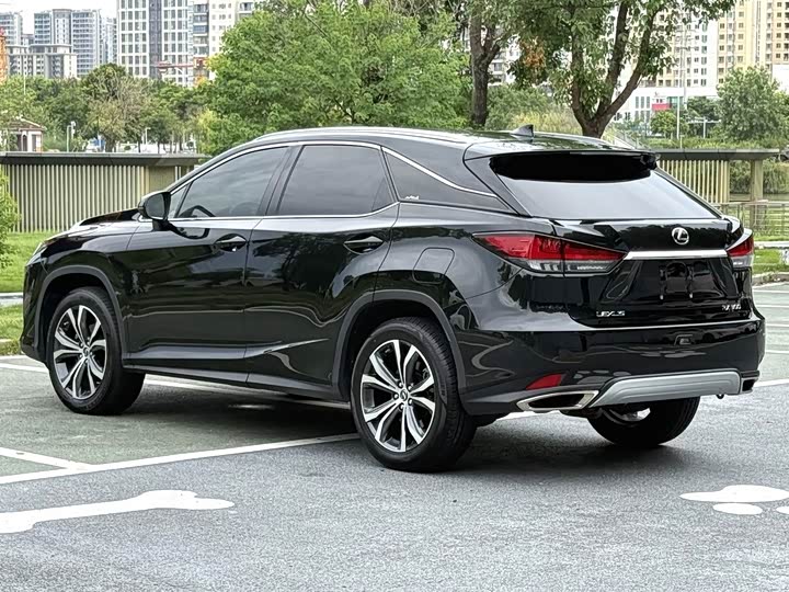 Lexus RX, 2022 — фото 8 из 9