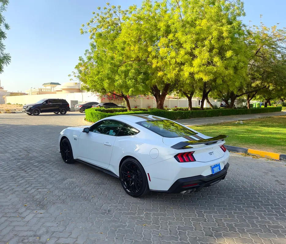 Ford Mustang, 2024 — фото 9 из 10