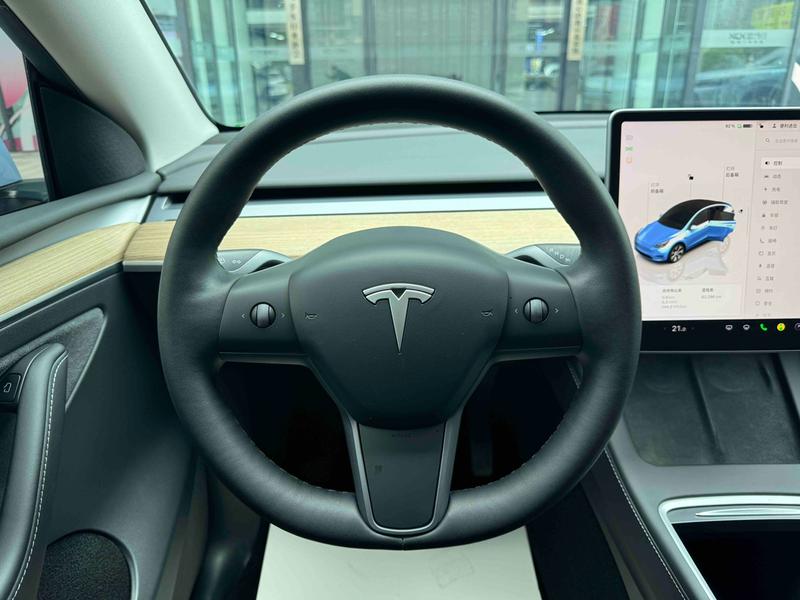 Tesla Model Y, 2021 — фото 12 из 12