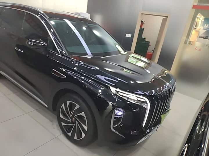 Hongqi HS7 Hybrid, 2024 — фото 4 из 9