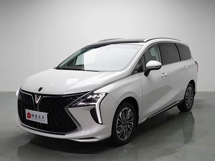 Dongfeng Forthing Yacht, 2024 — купить в Владимире под ключ