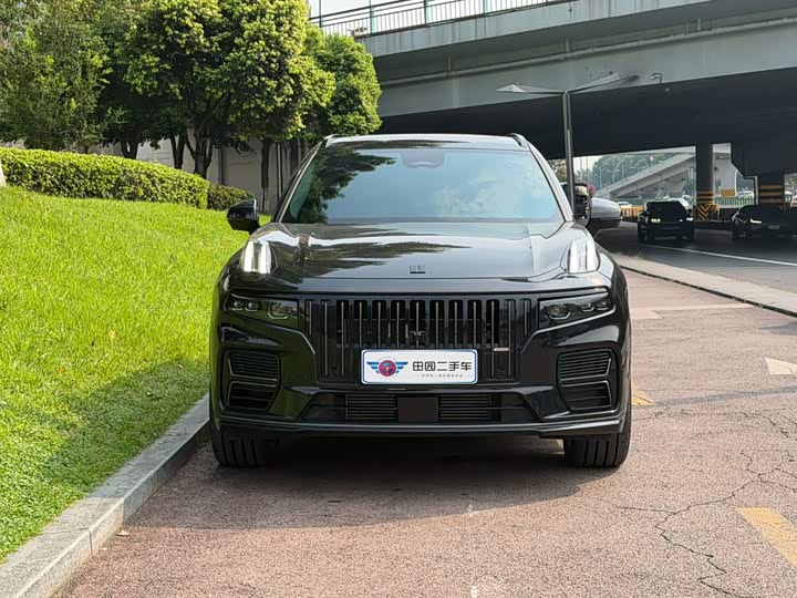Lynk & Co 09 EM-P Hybrid, 2024 — фото 2 из 9