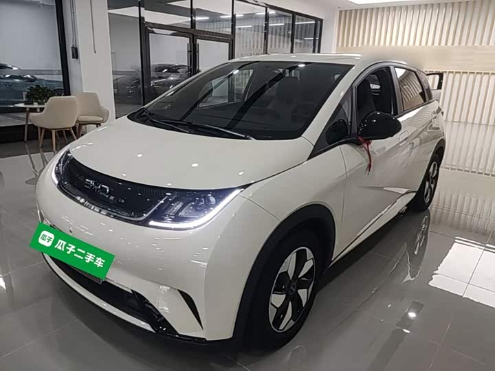BYD Dolphin, 2026 — купить в Пензе под ключ