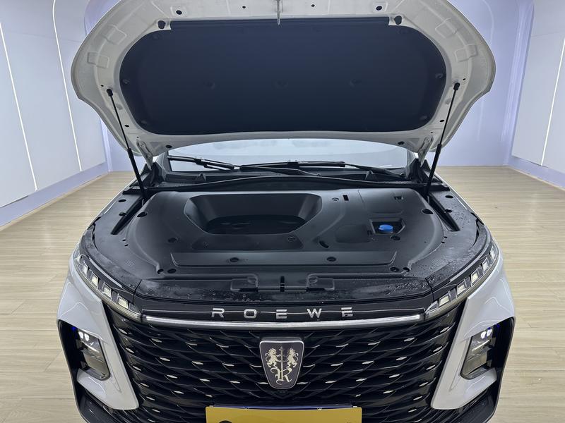 Roewe RX5 Max, 2023 — фото 12 из 12