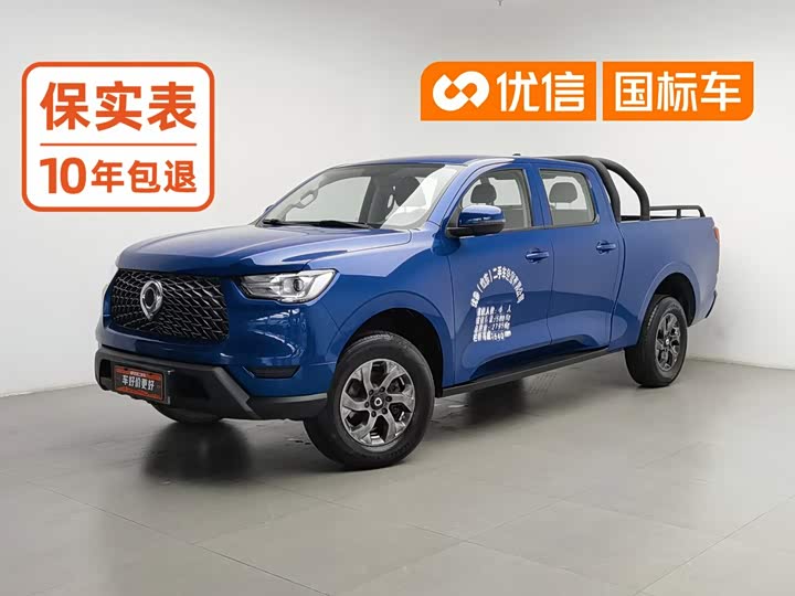 Great Wall Pao, 2022 — купить в Орле под ключ