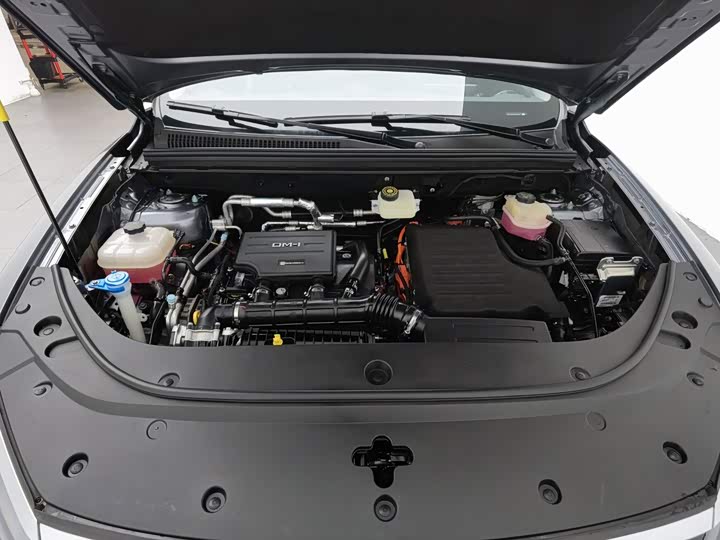 BYD Sea Lion 05 DM-i Hybrid, 2025 — фото 6 из 9