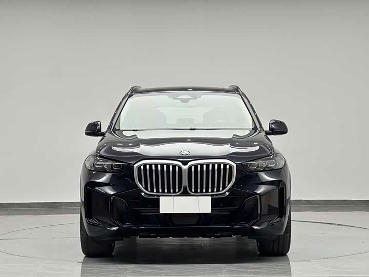 BMW X5, 2025 — фото 2 из 9