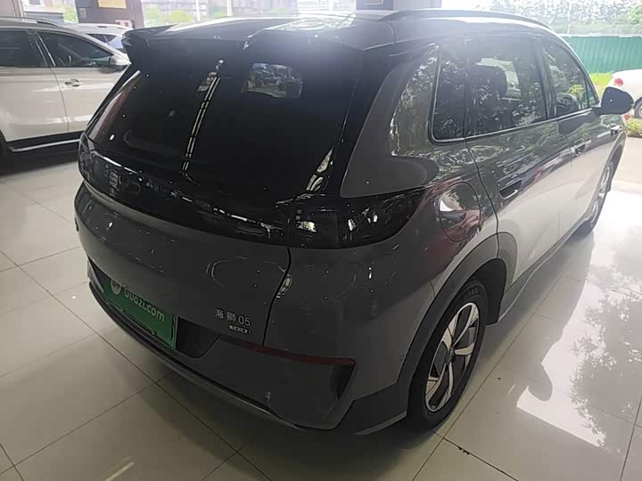 BYD Sea Lion 05 EV, 2025 — фото 7 из 9
