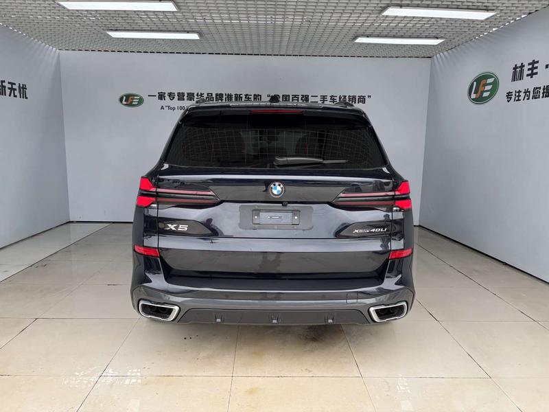 BMW X5, 2025 — фото 5 из 12