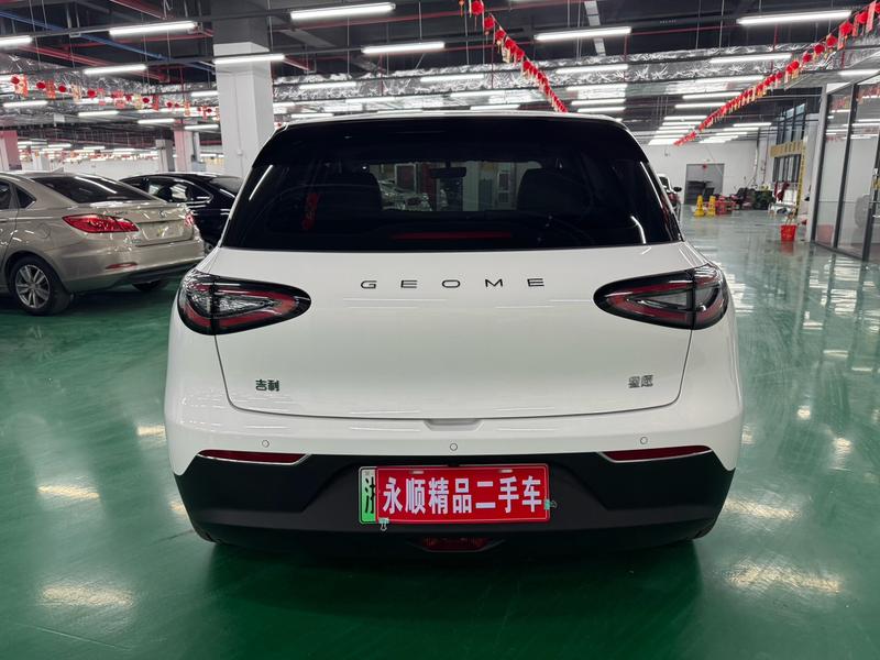 Geely Galaxy Geome, 2024 — фото 5 из 10