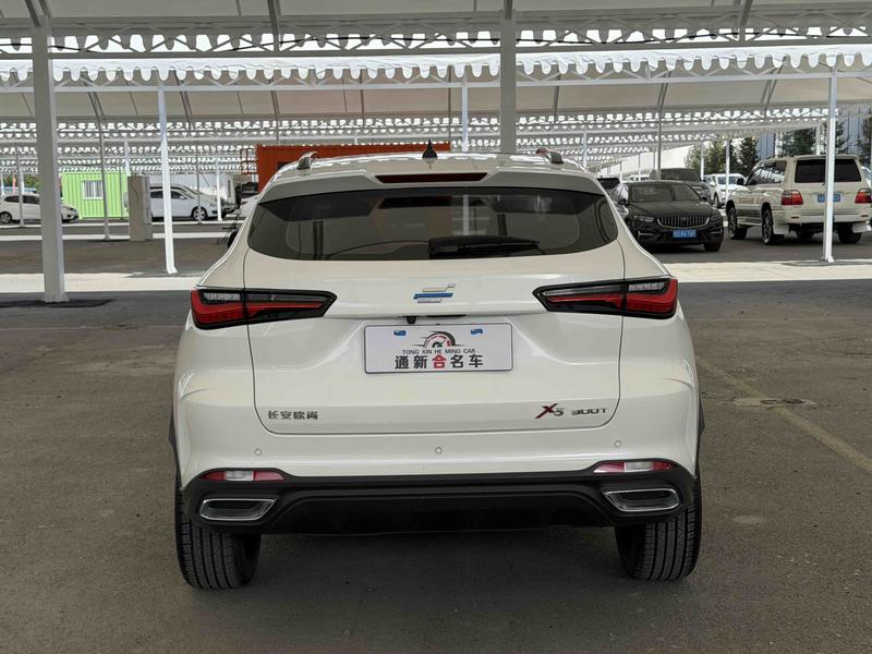 Changan Oshan X5, 2021 — фото 4 из 9