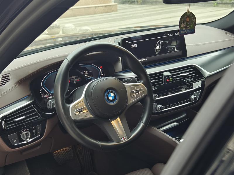BMW 5 Series Hybrid, 2022 — фото 12 из 12