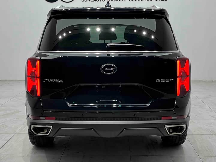 GAC Trumpchi GS8, 2025 — фото 4 из 9