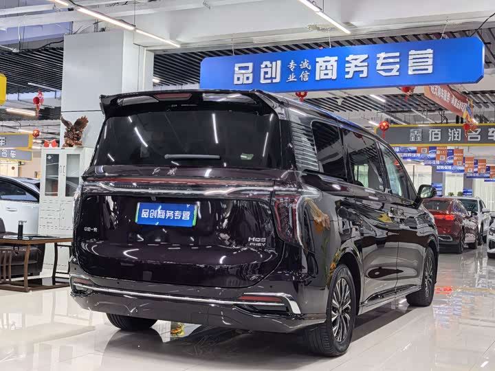 Hongqi HQ9 Hybrid, 2024 — фото 7 из 9